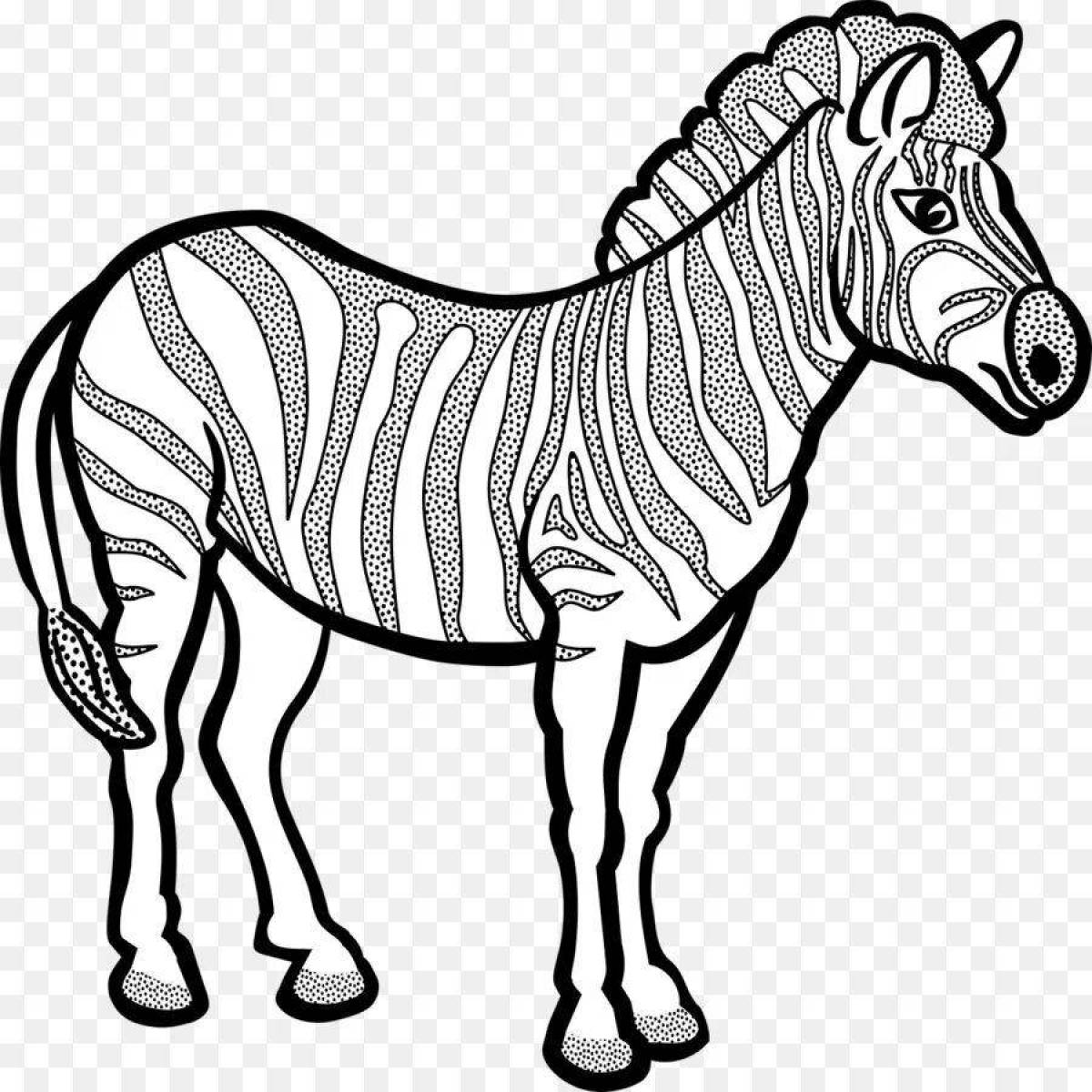 Zebra pattern #4