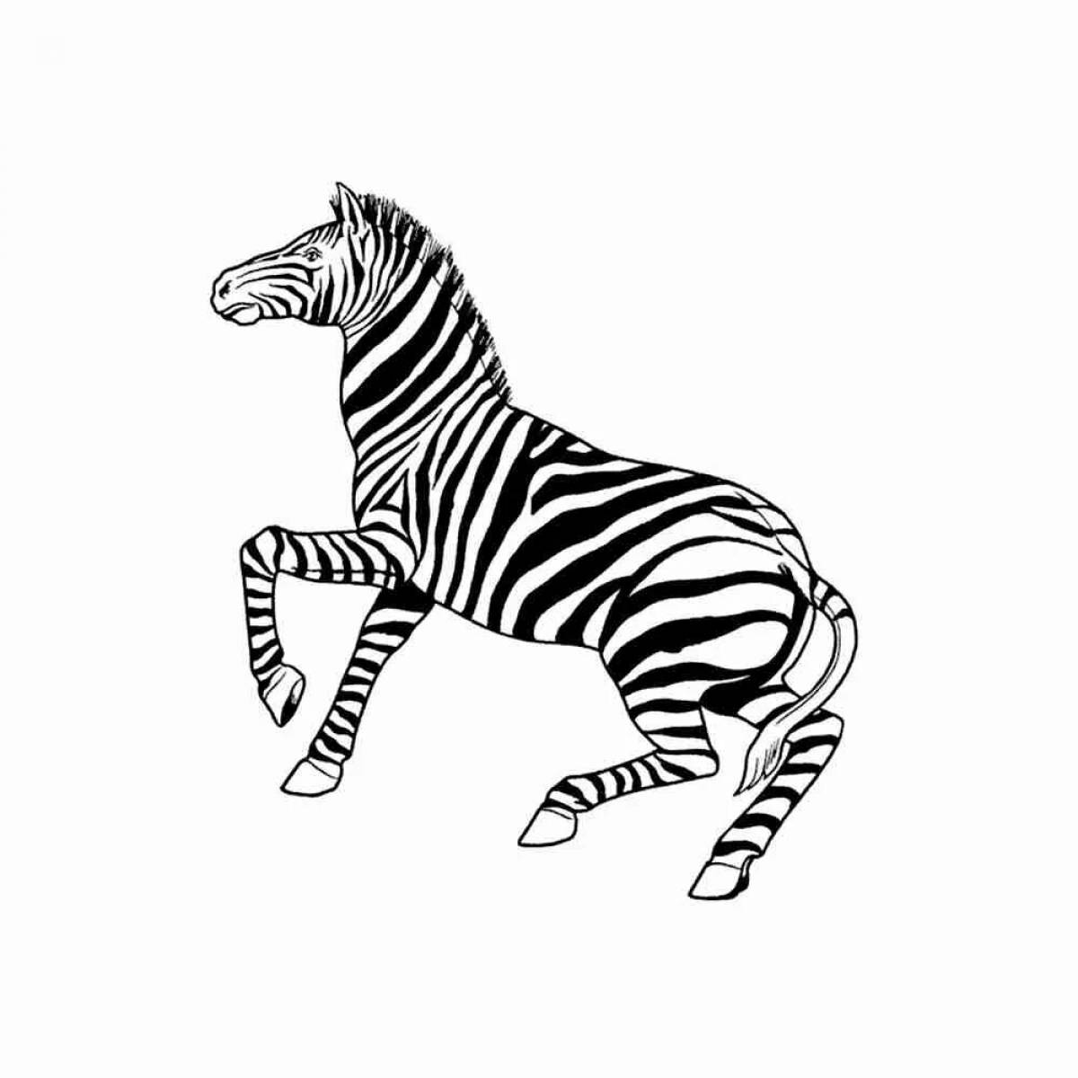 Рисунок зебра #10