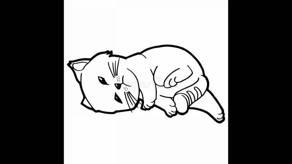 Cute fold cat coloring book