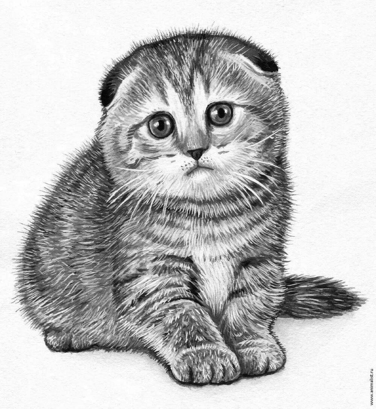 Coloring page happy lop-eared cat