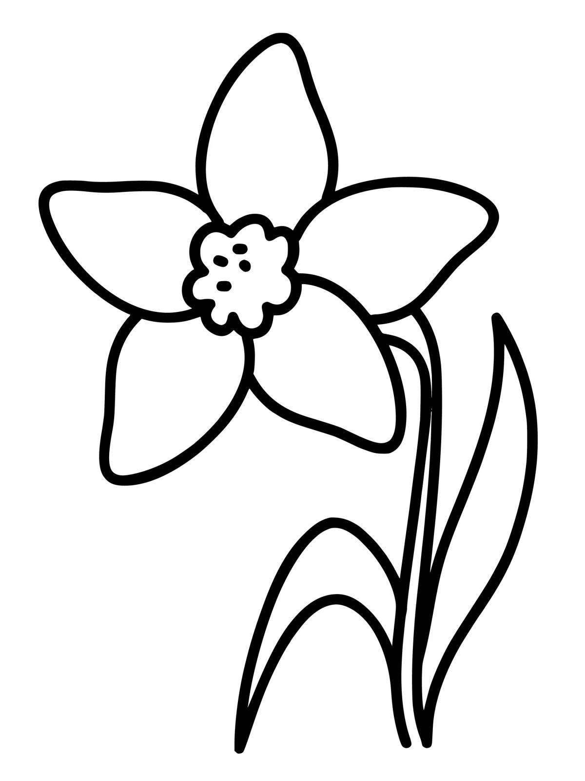 Coloring book glowing narcissus flower