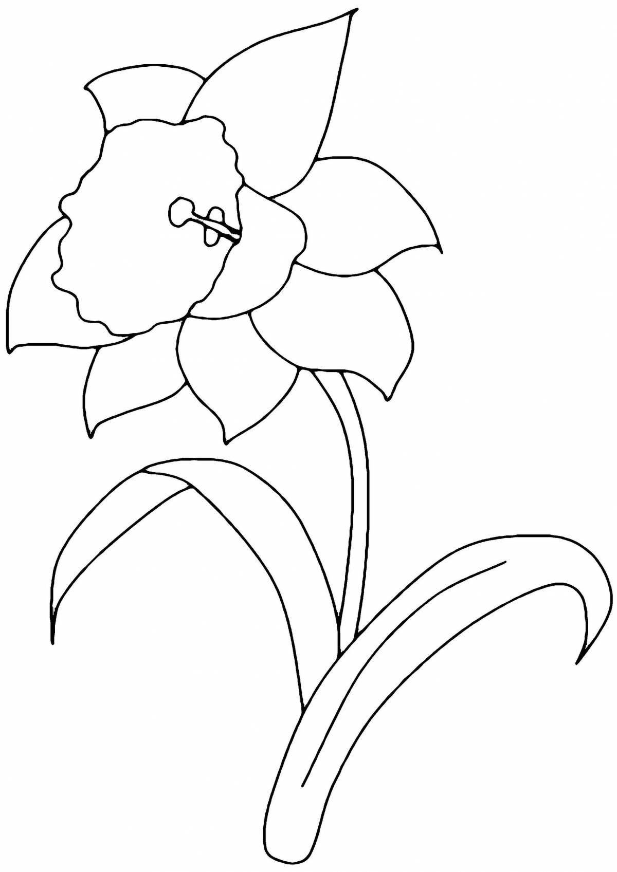Coloring book playful narcissus flower