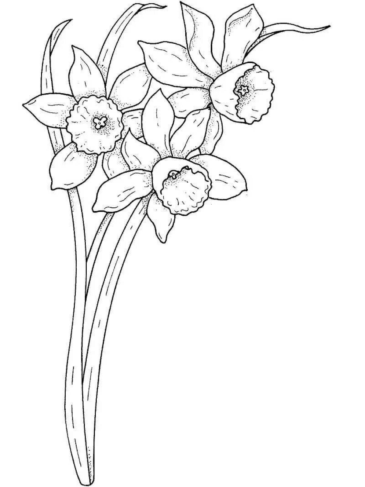 Coloring book magic narcissus flower
