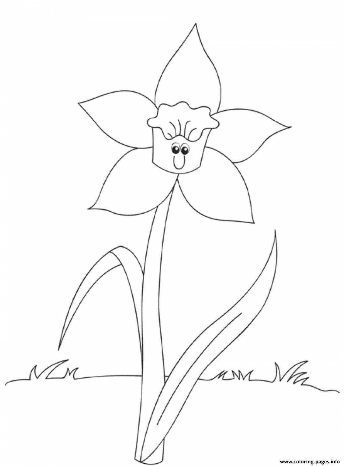 Coloring book beautiful narcissus flower