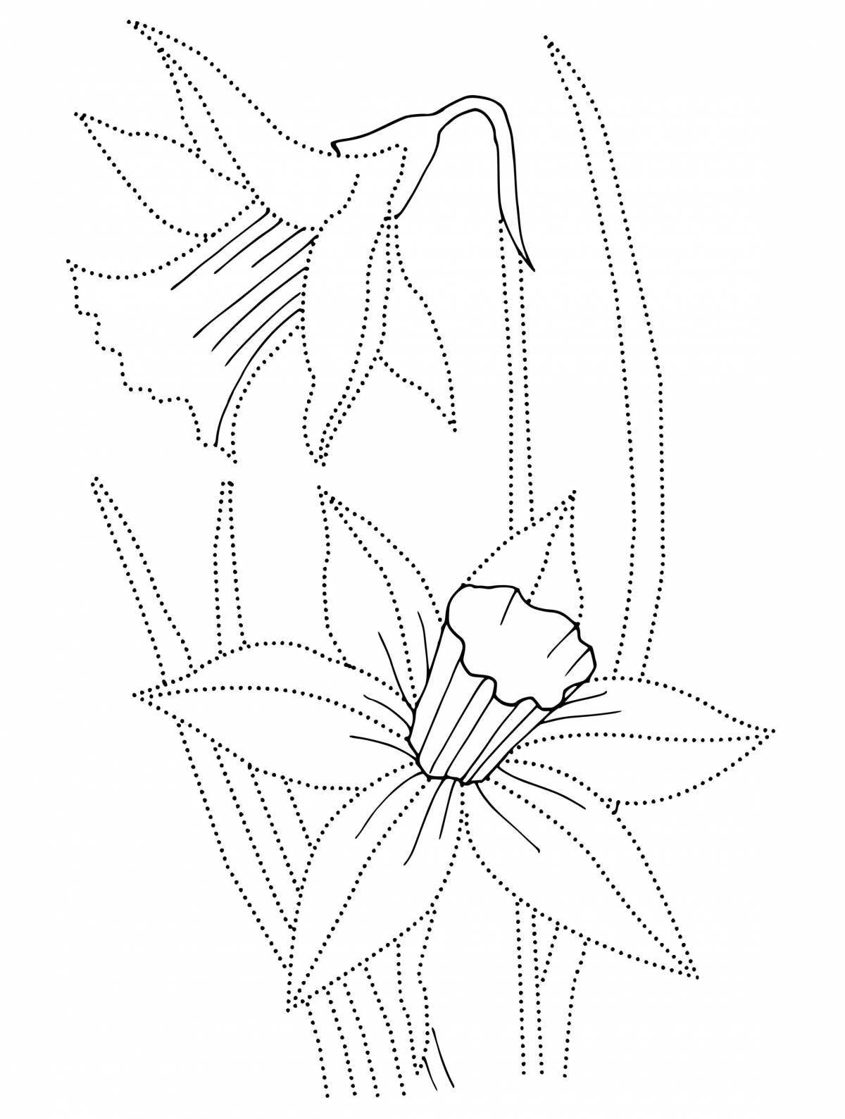 Coloring book of a fascinating narcissus flower