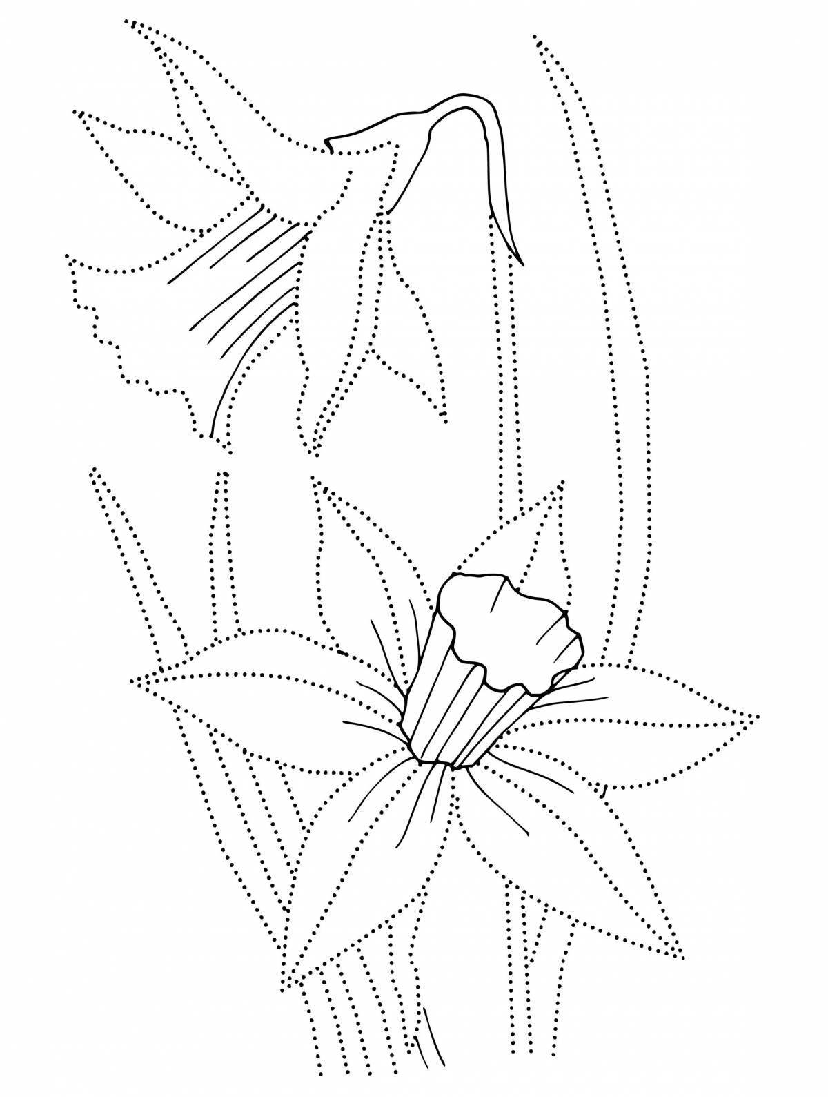Раскраска завораживающий цветок нарцисса