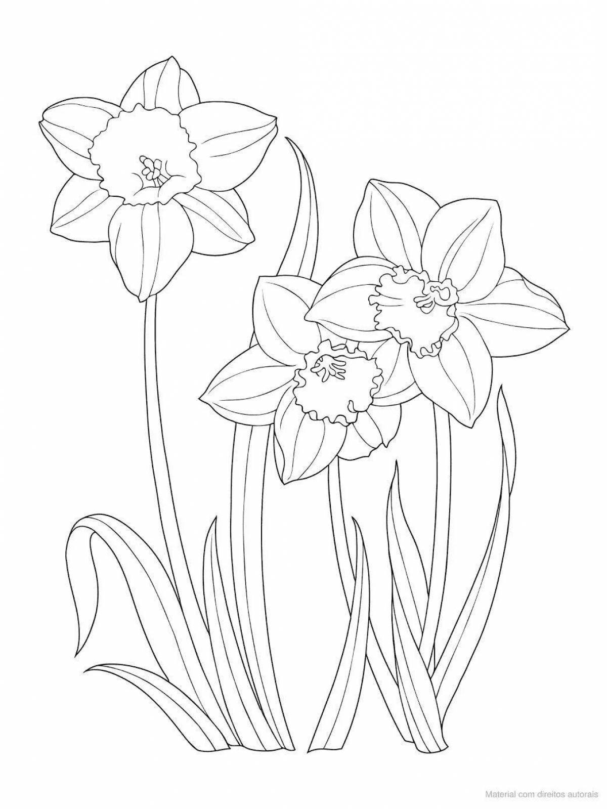 Adorable daffodil flower coloring page