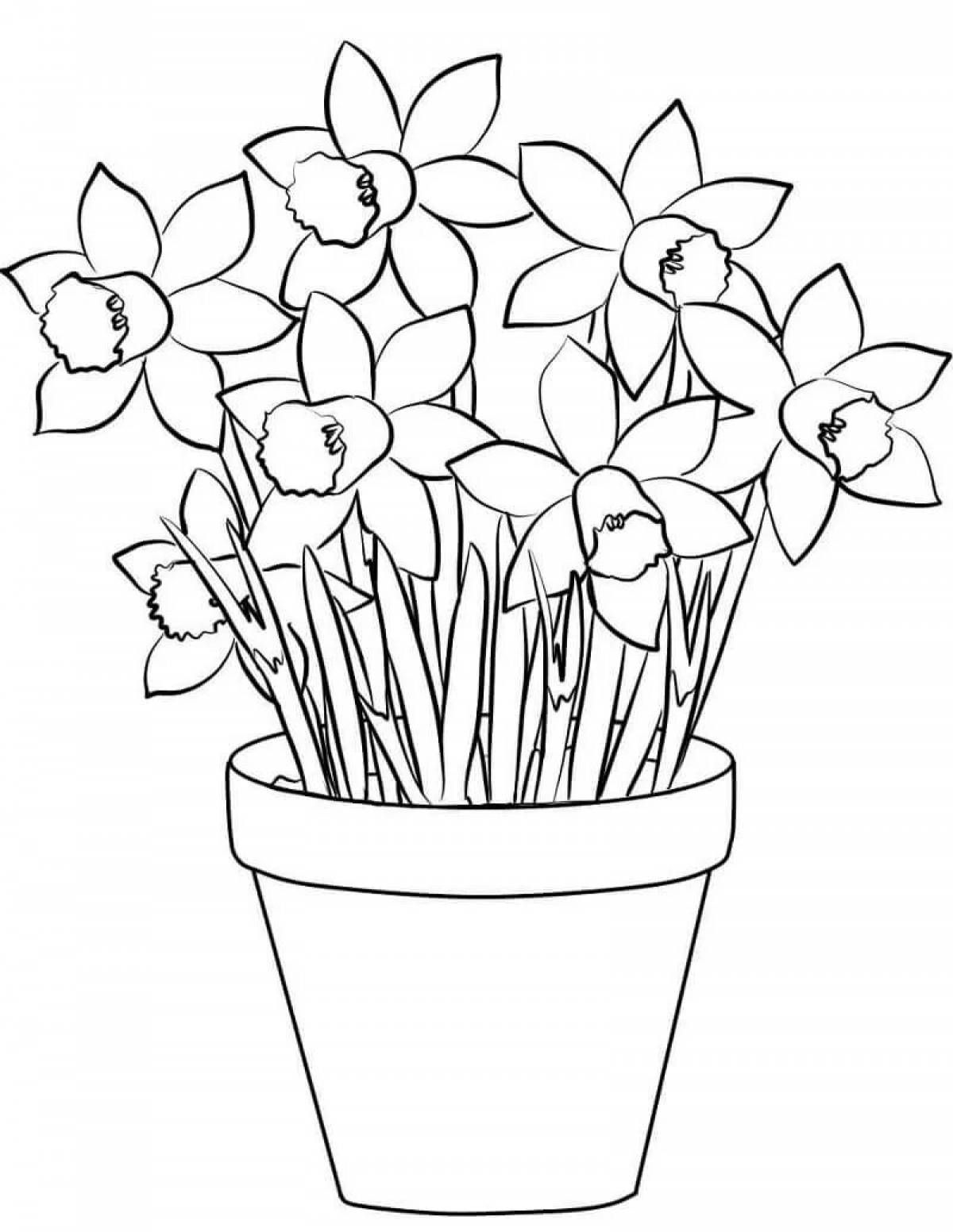 Coloring book enchanting narcissus flower