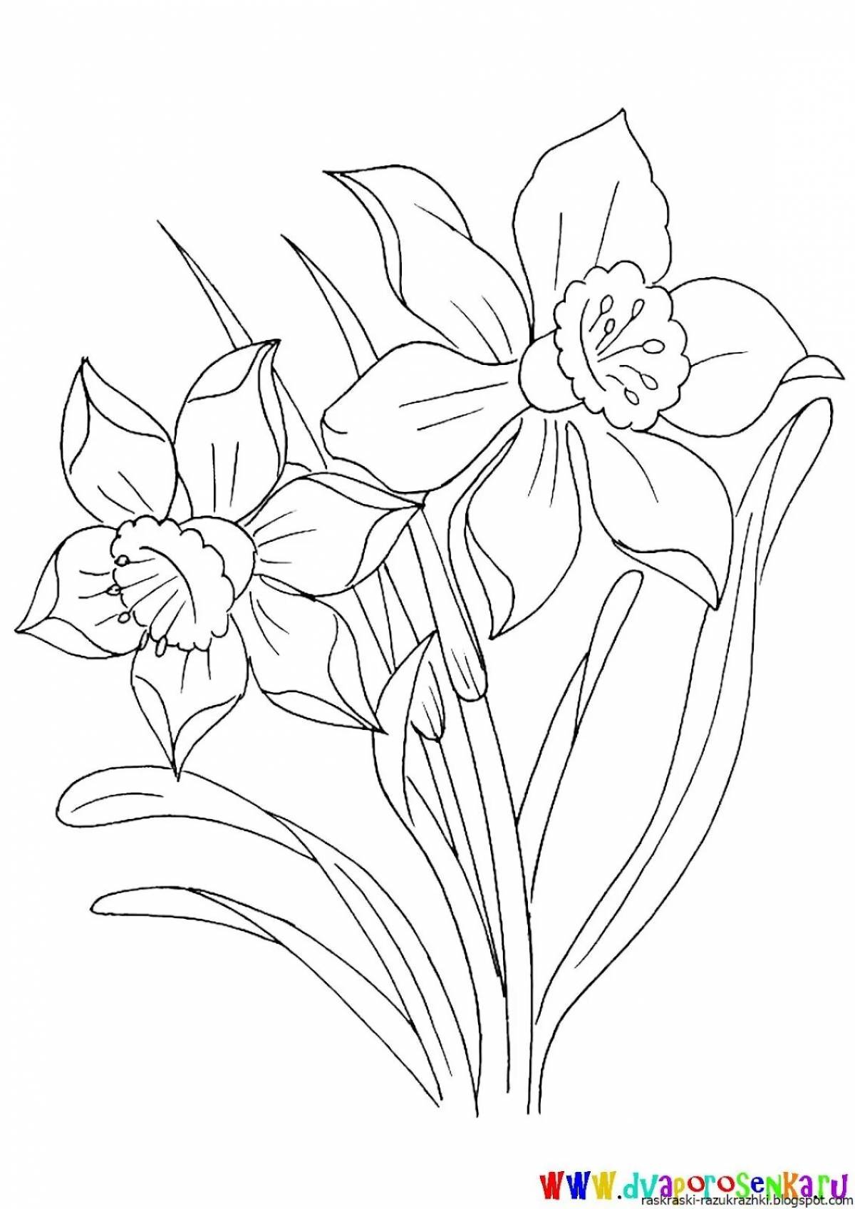 Flower coloring serene narcissus