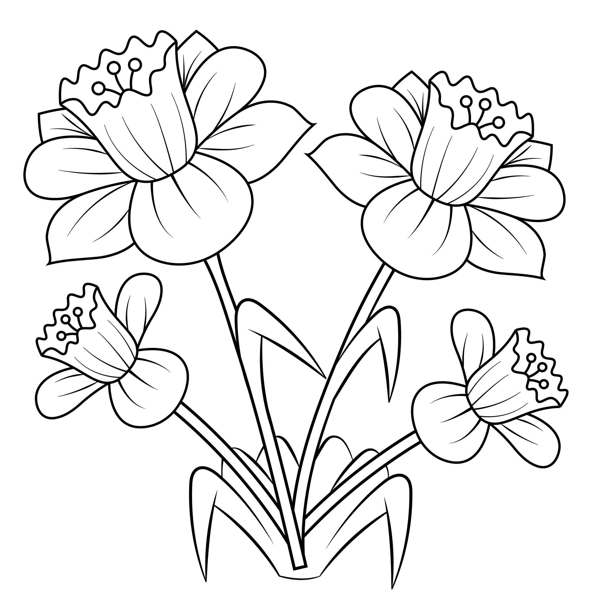 Coloring flower peaceful narcissus