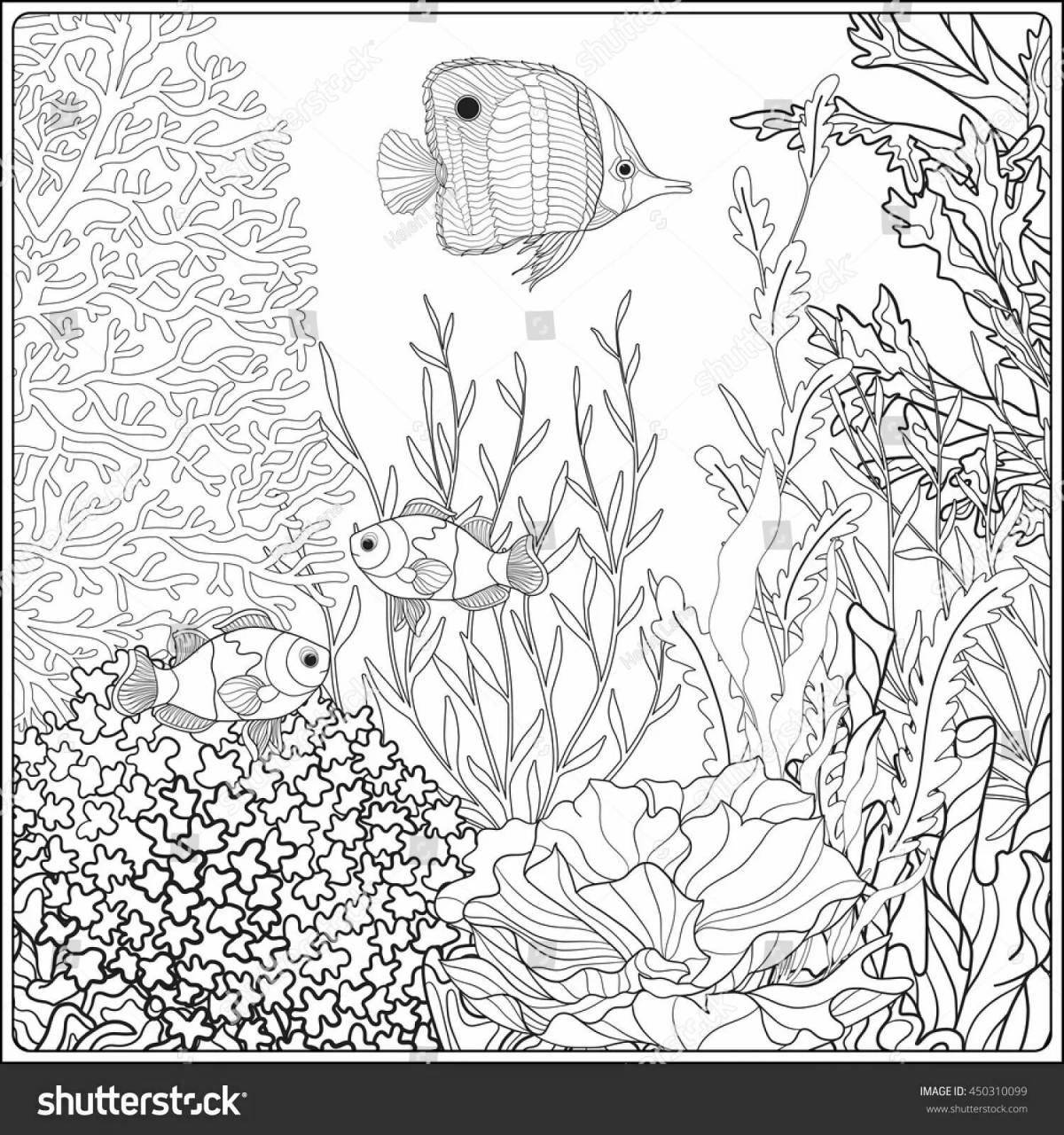 Colorful coral reef coloring book