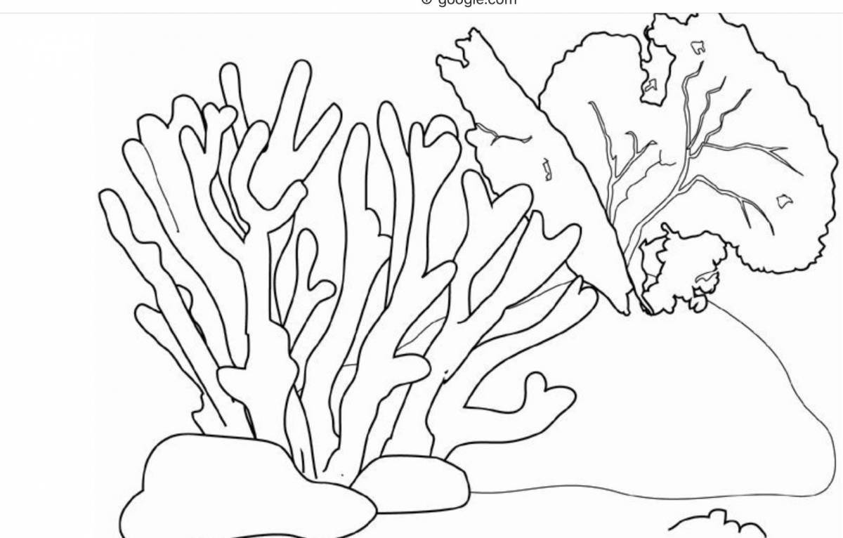 Colouring page charming coral reef