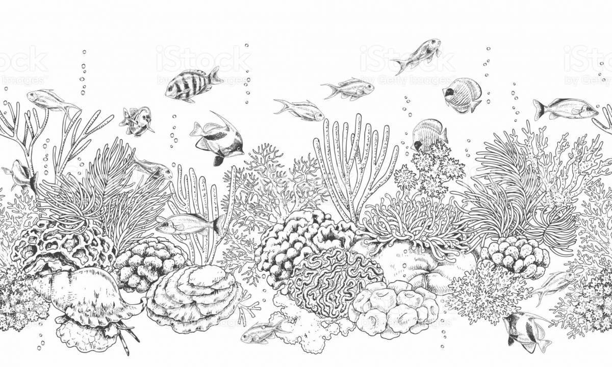 Colouring playful coral reef