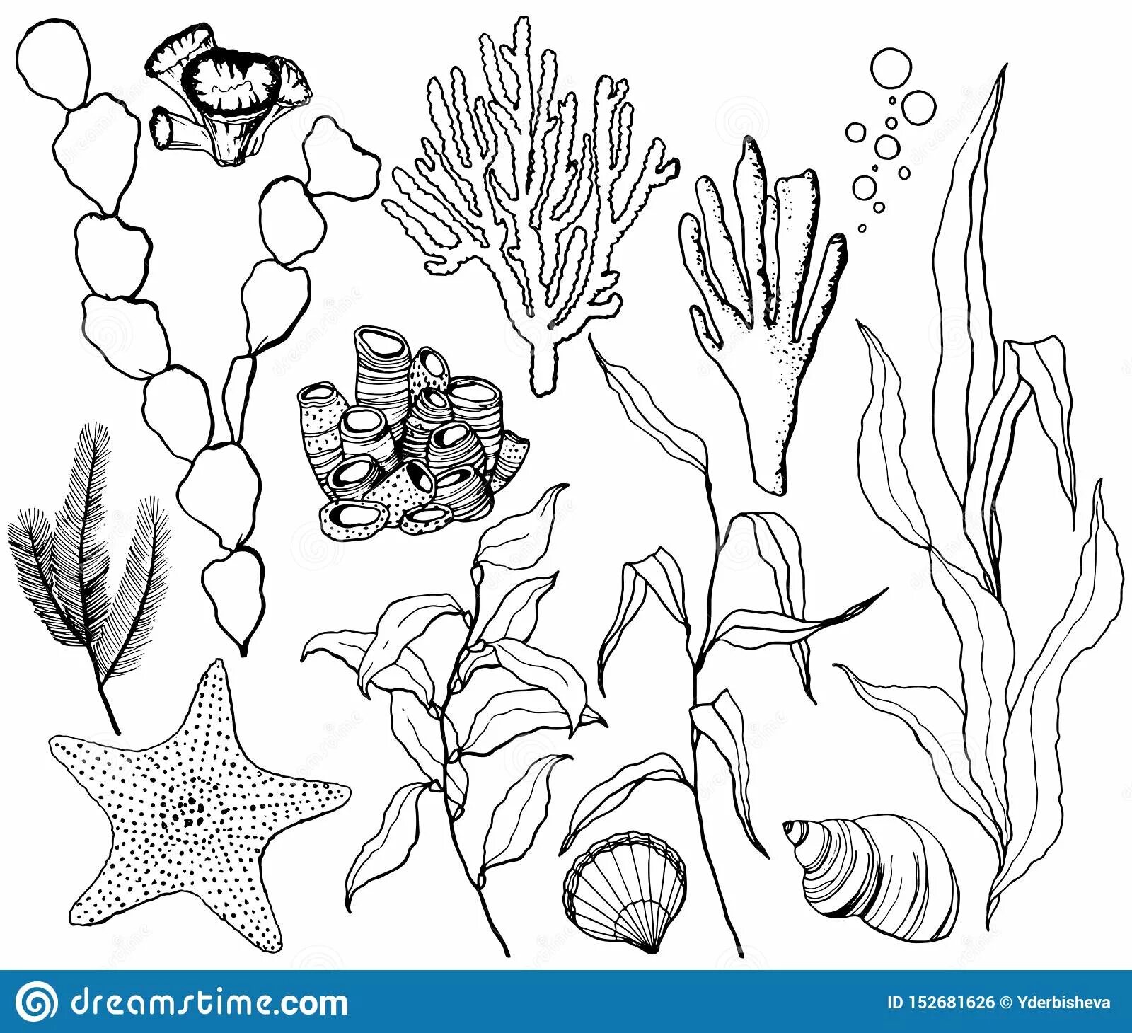 Coloring page magnanimous coral reef