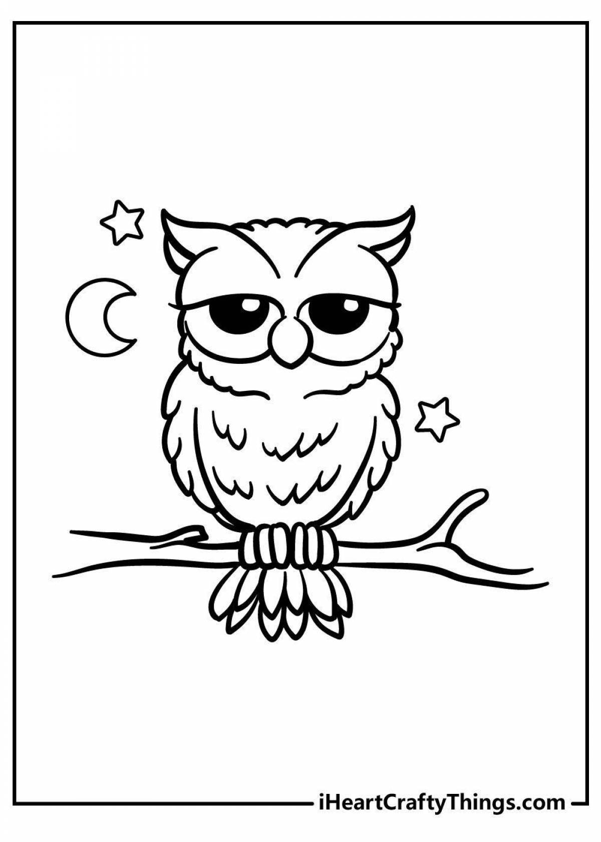 Live cute owl coloring book