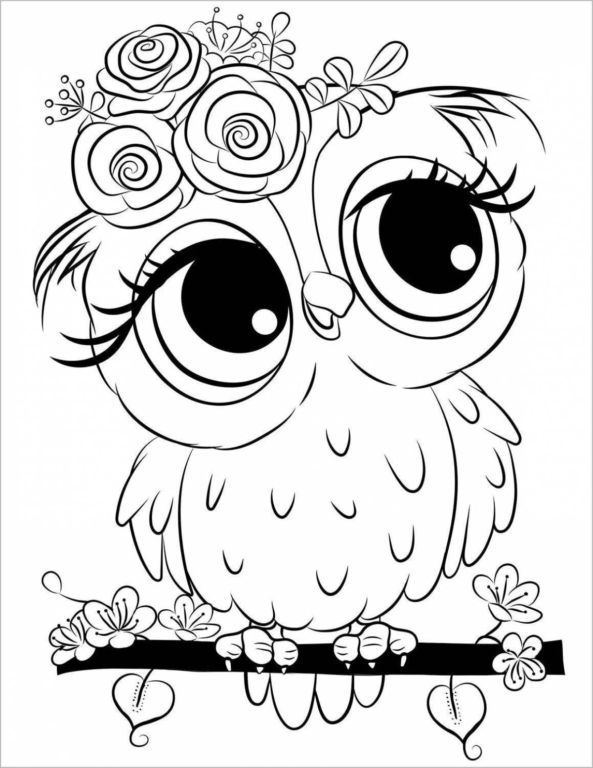 Colorful cute owl coloring book