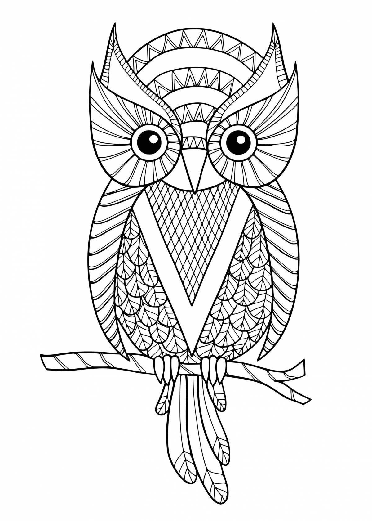 Fluffy cute owl coloring book