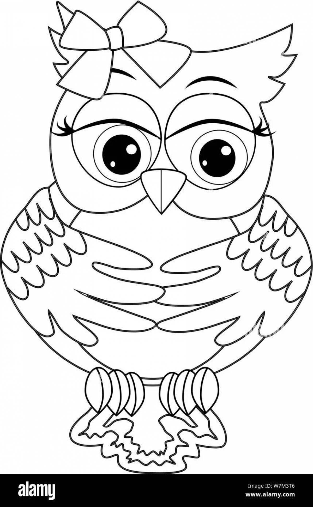 Nice cute owl coloring book