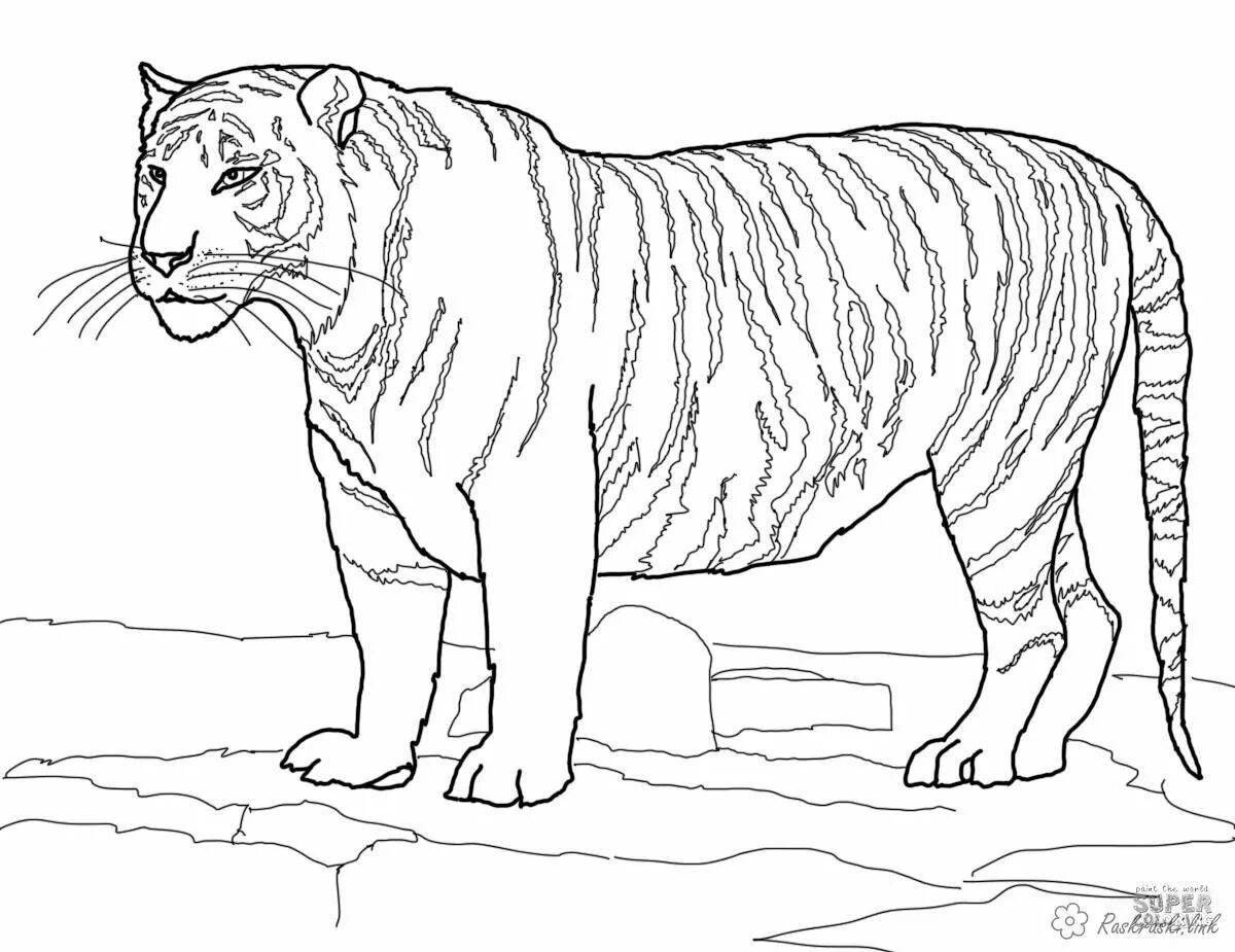 Восхитительная страница раскраски тигра для детей