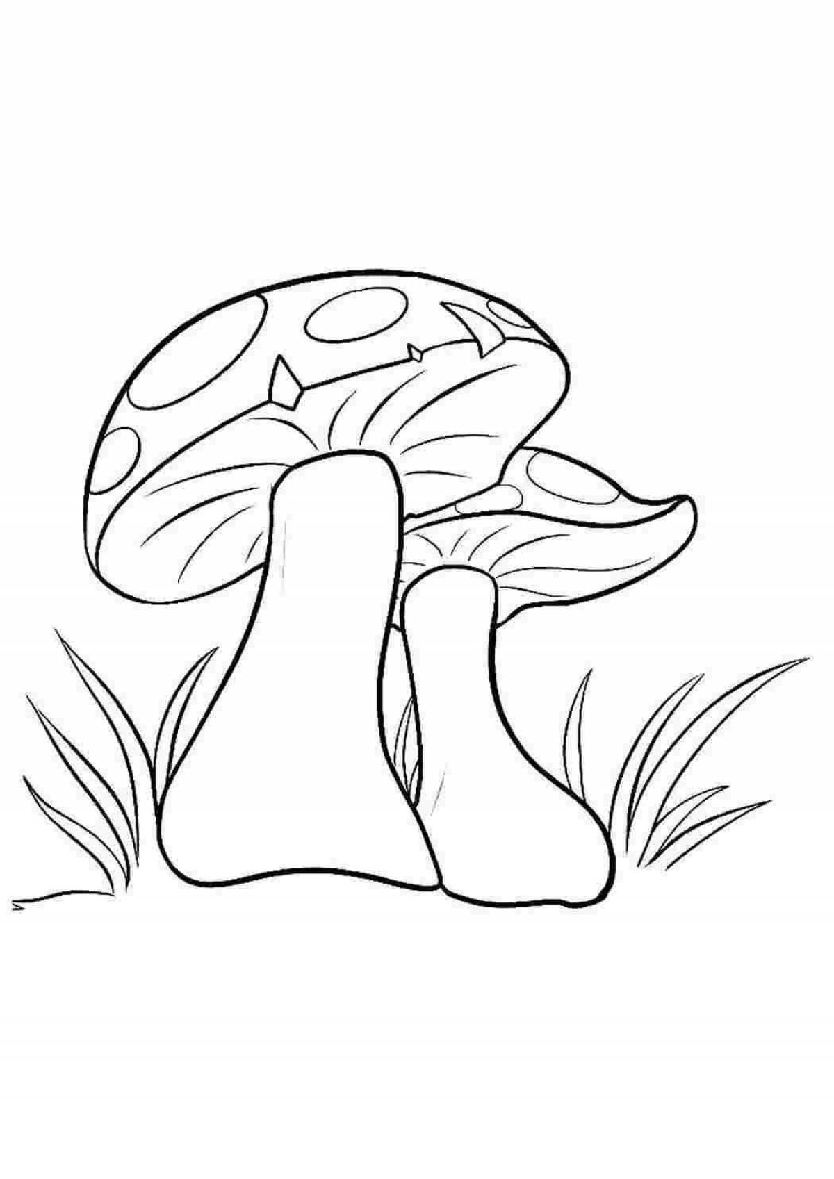 Красочная страница раскраски грибов