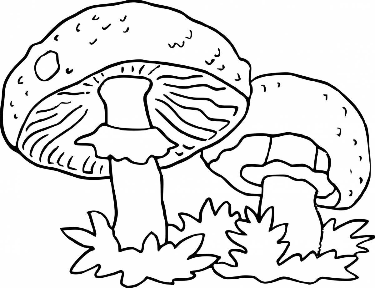 Bright mushroom coloring page
