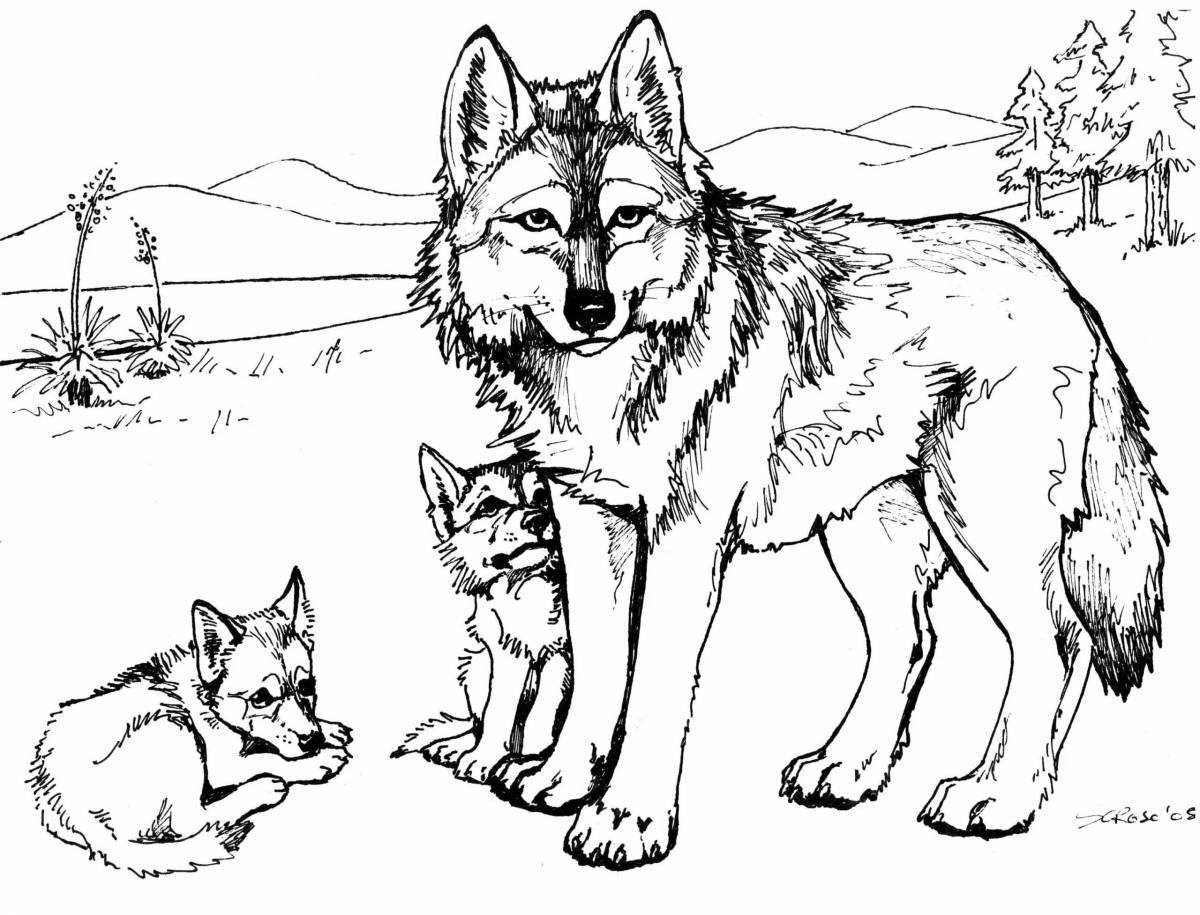 Coloring book ferocious wolf