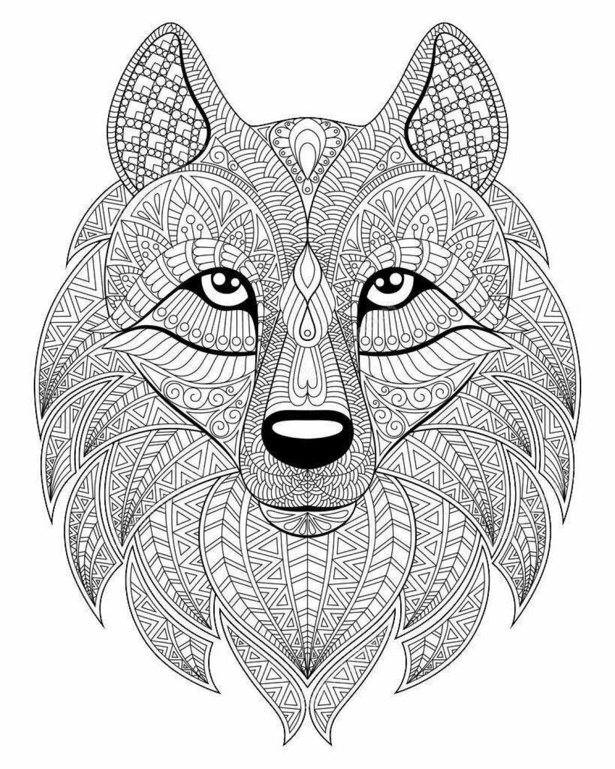Decided wolf coloring page