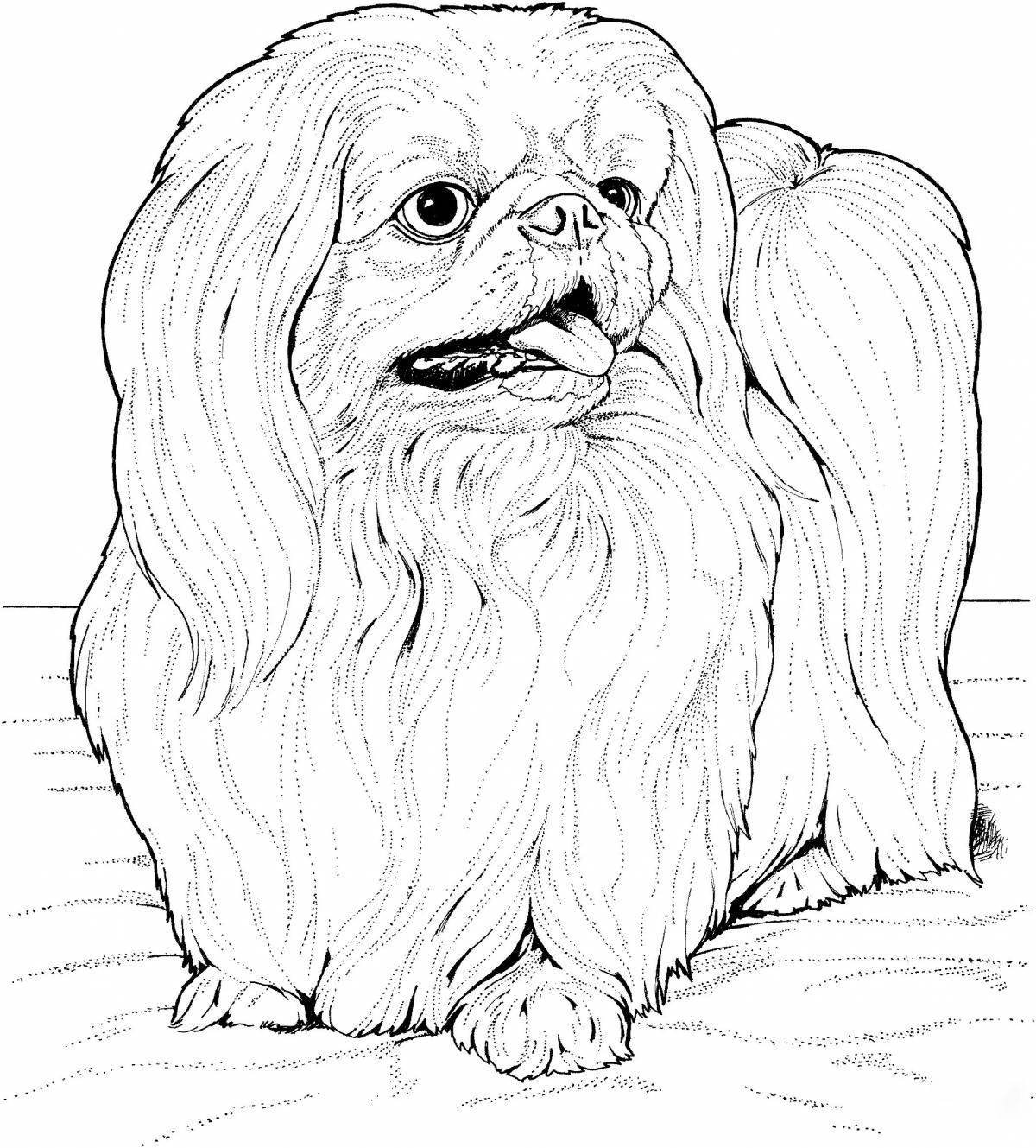 Coloring shih tzu with cute face