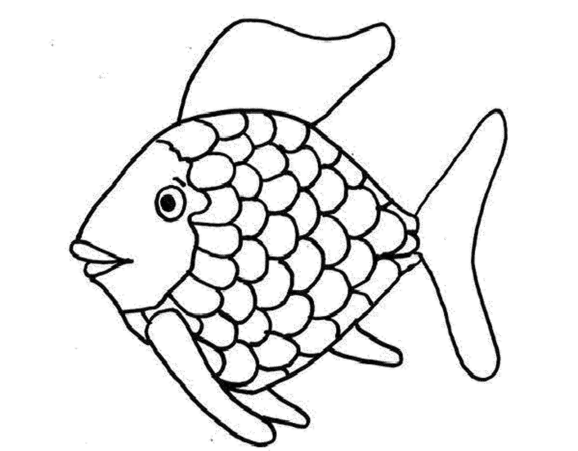 Fine fish pattern coloring book