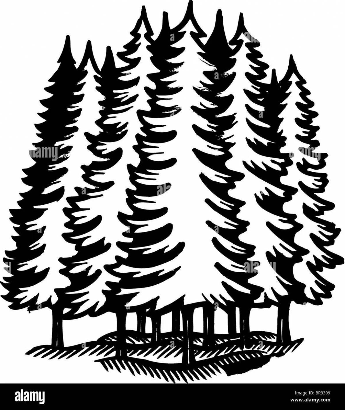 Adorable spruce forest coloring page