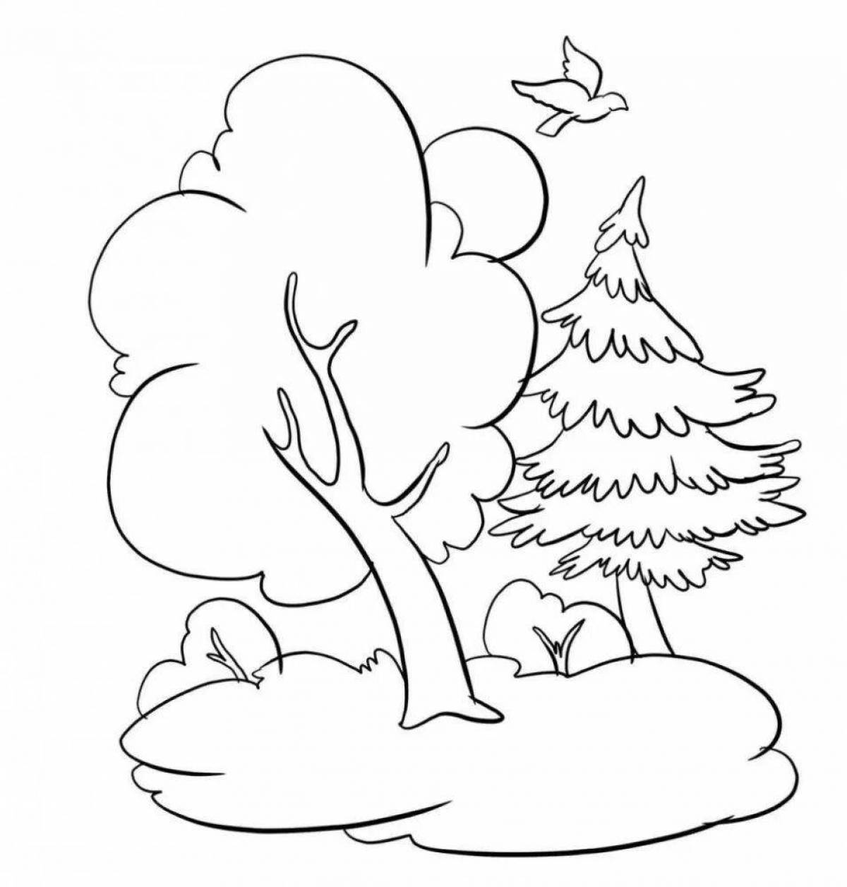 Coloring page idyllic spruce forest