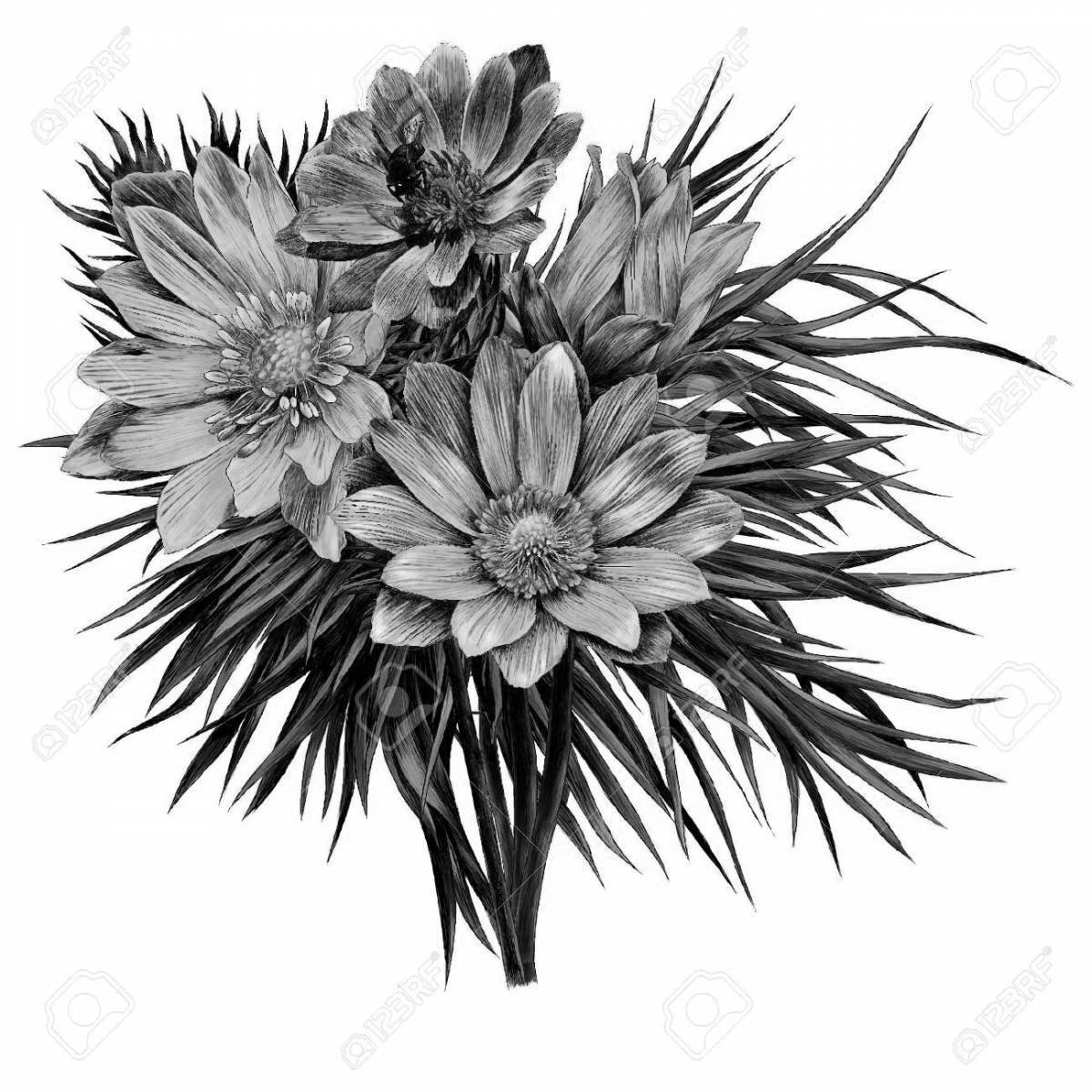 Coloring wild adonis spring