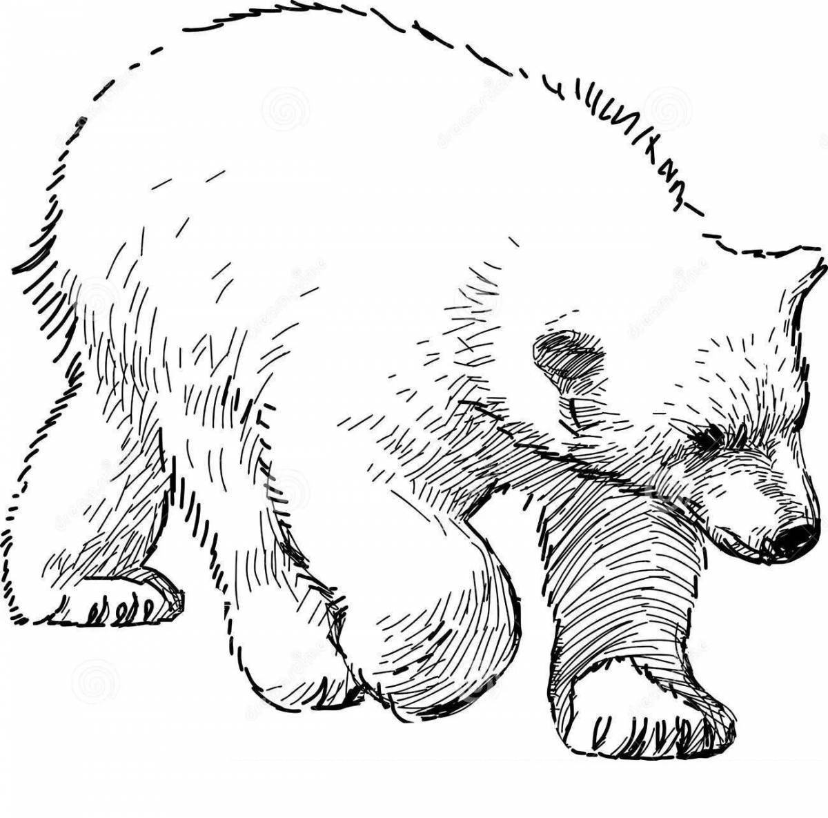 Coloring book shining polar bear