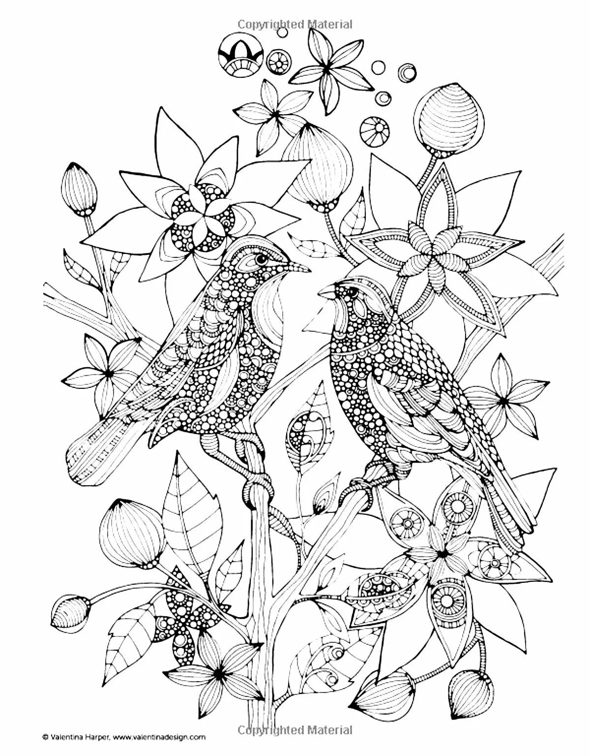 Alluring anti-stress spring coloring book
