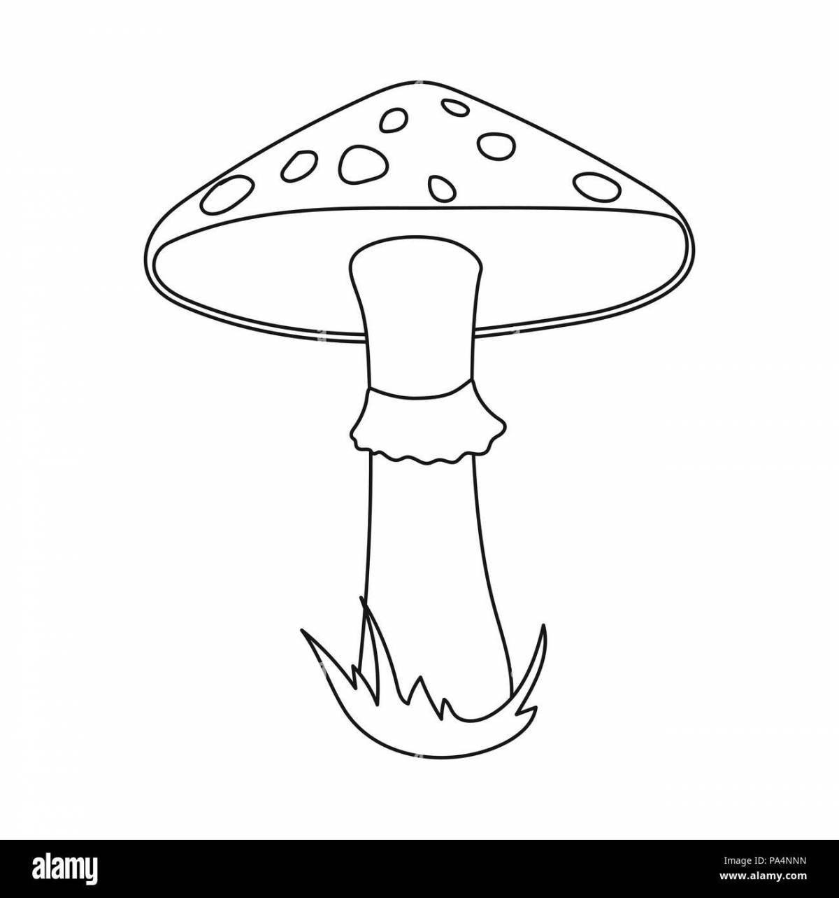 Photo Adorable red fly agaric coloring page