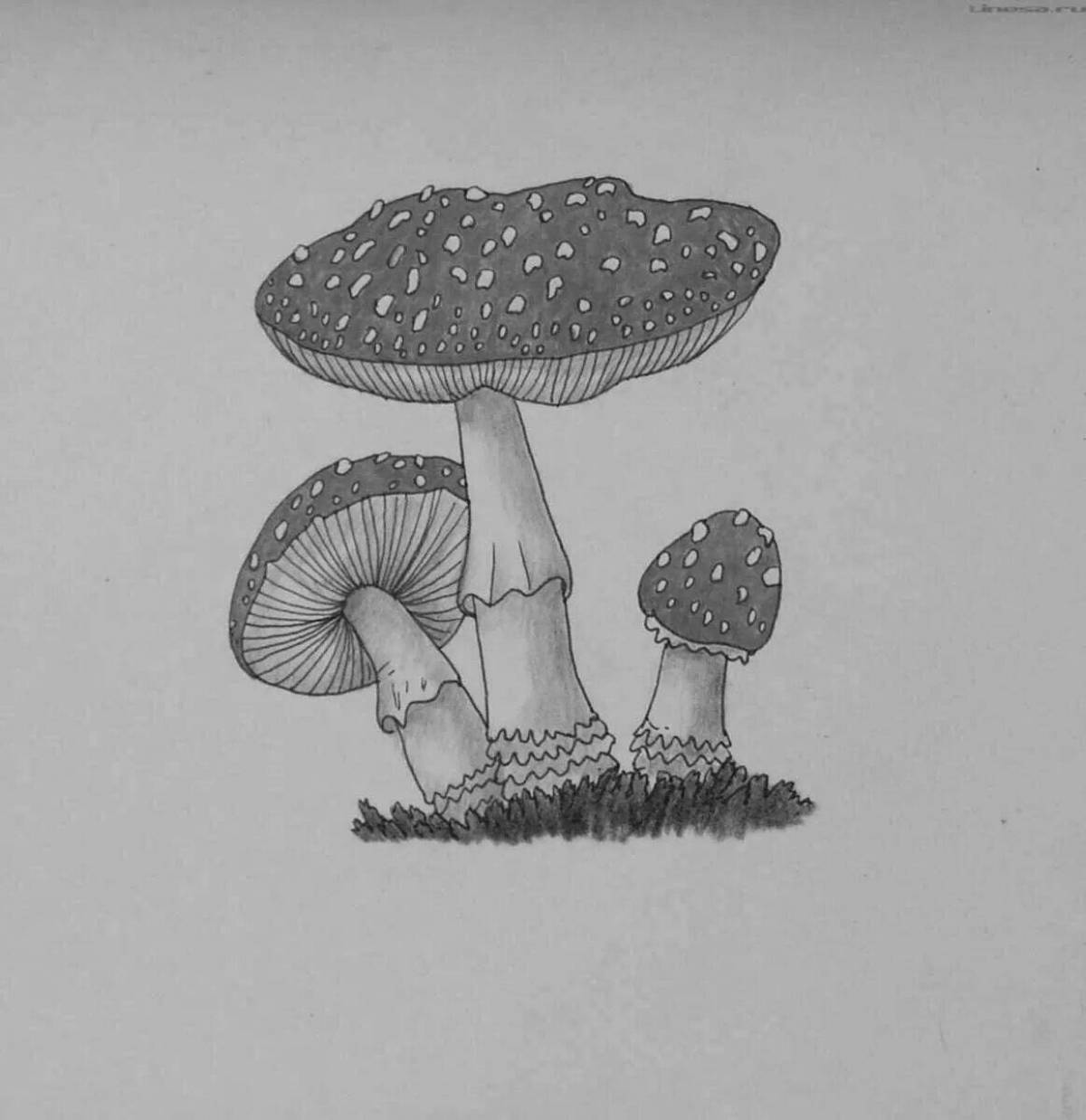 Photo Coloring majestic red fly agaric