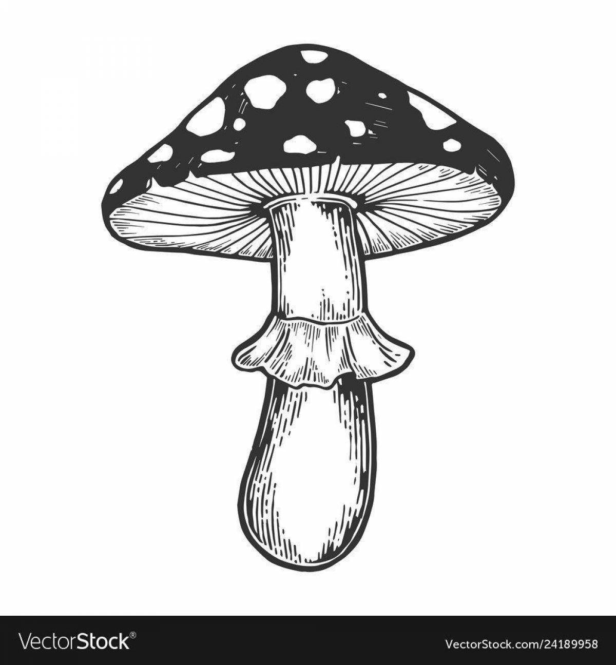Coloring book shiny red fly agaric