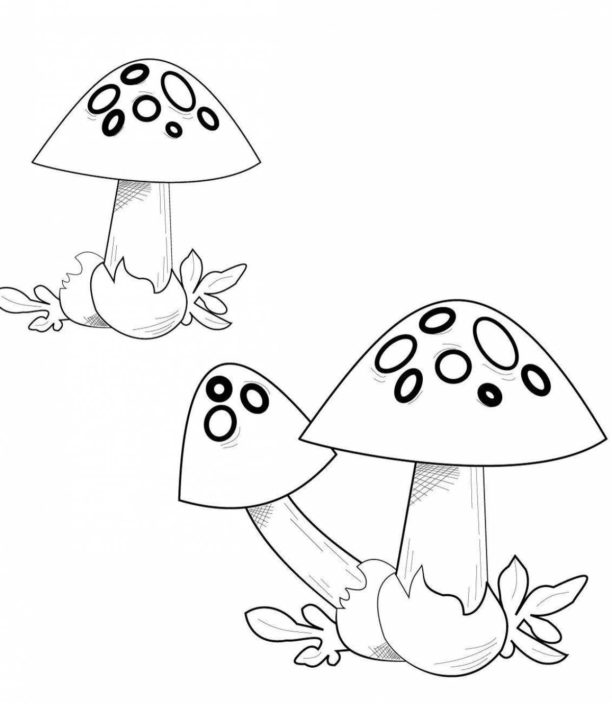 Fine red fly agaric coloring page