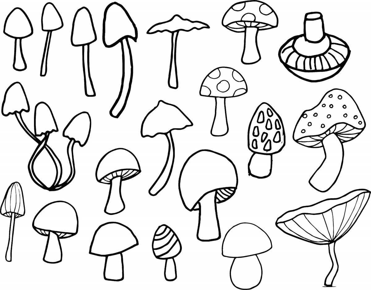 Cute red fly agaric coloring page