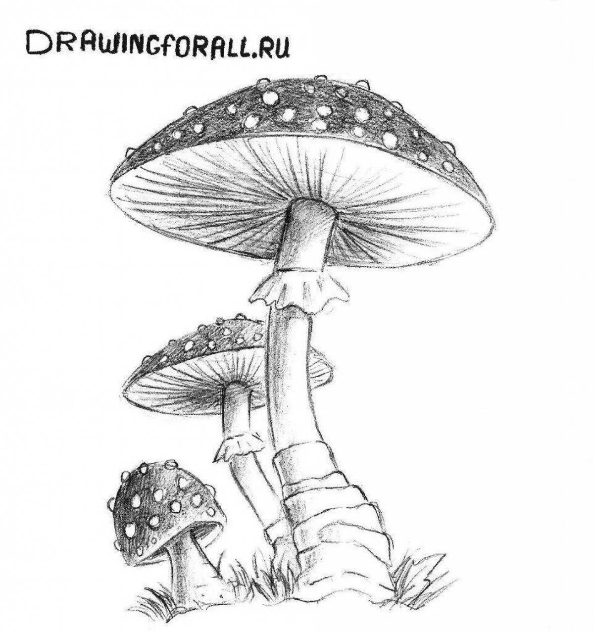 Coloring book cheerful red fly agaric