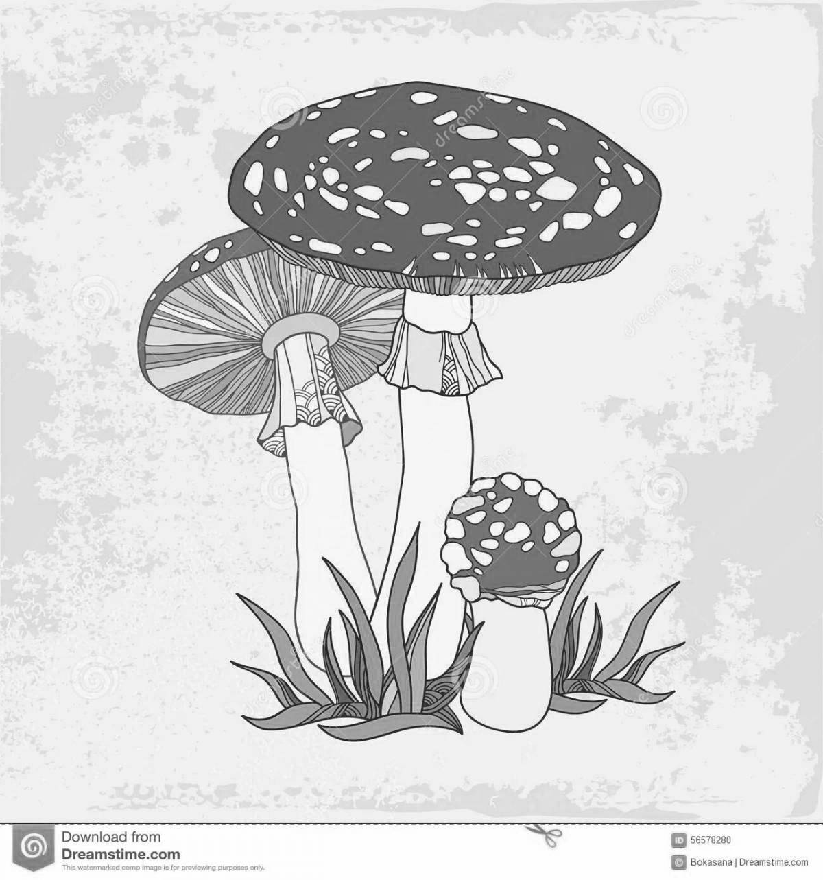 Colouring serene red fly agaric