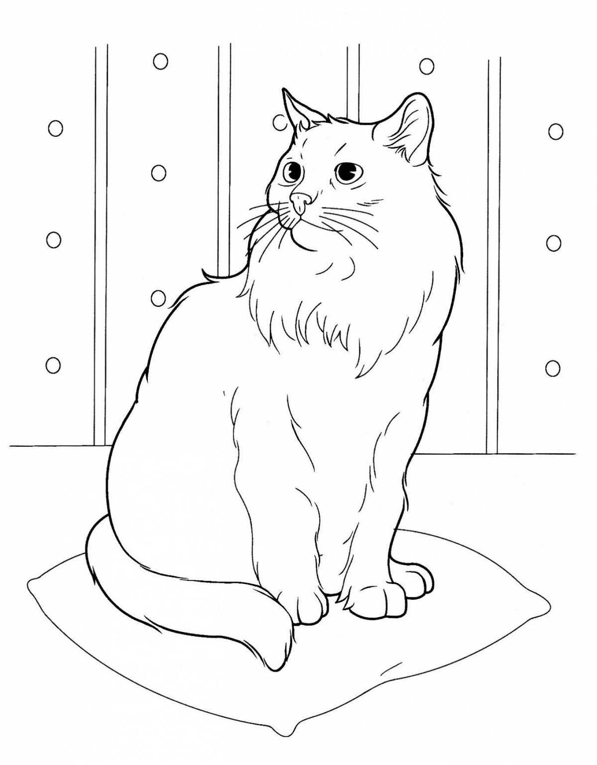 Color-beautiful how to draw coloring pages