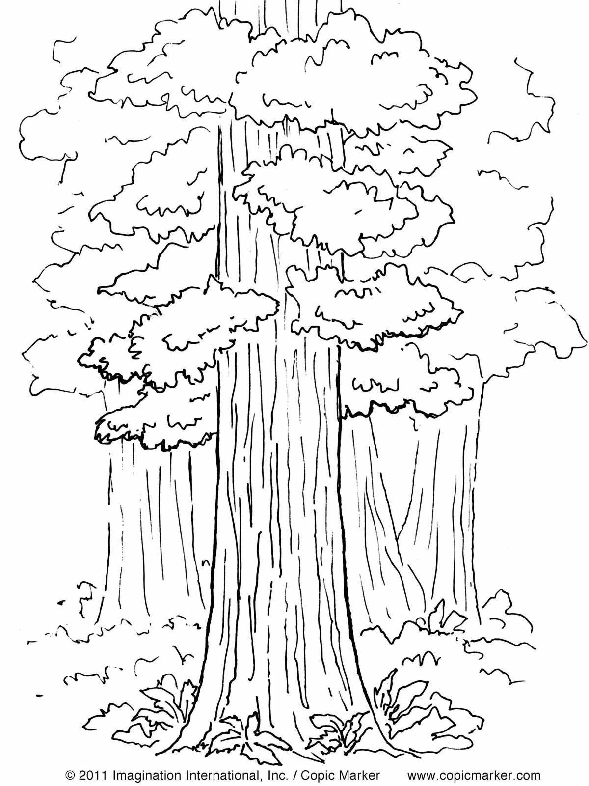 Radiant coloring page forest figure