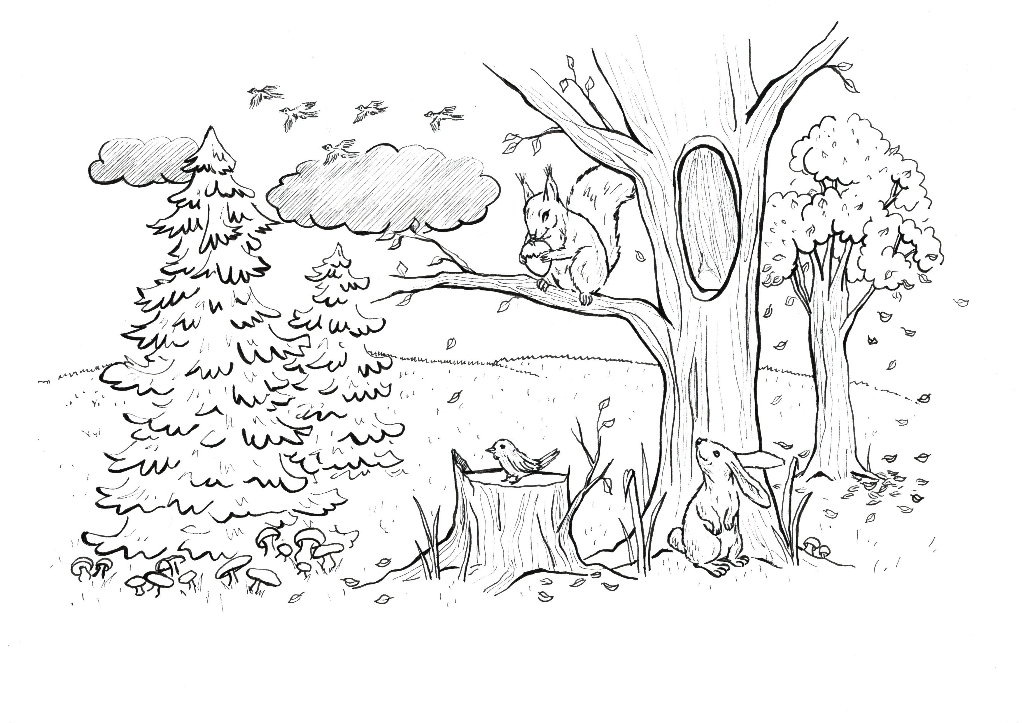Forest drawing #2