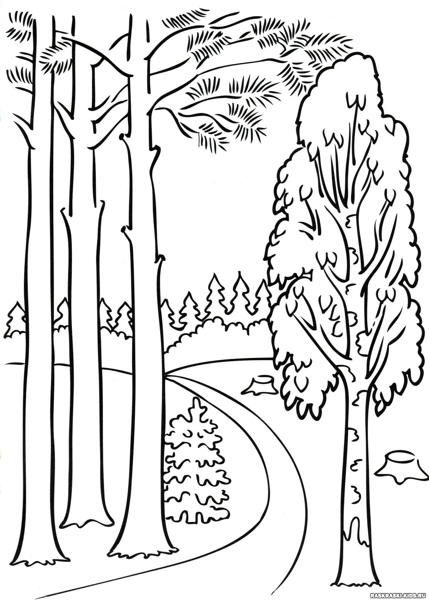 Лес рисунок #3