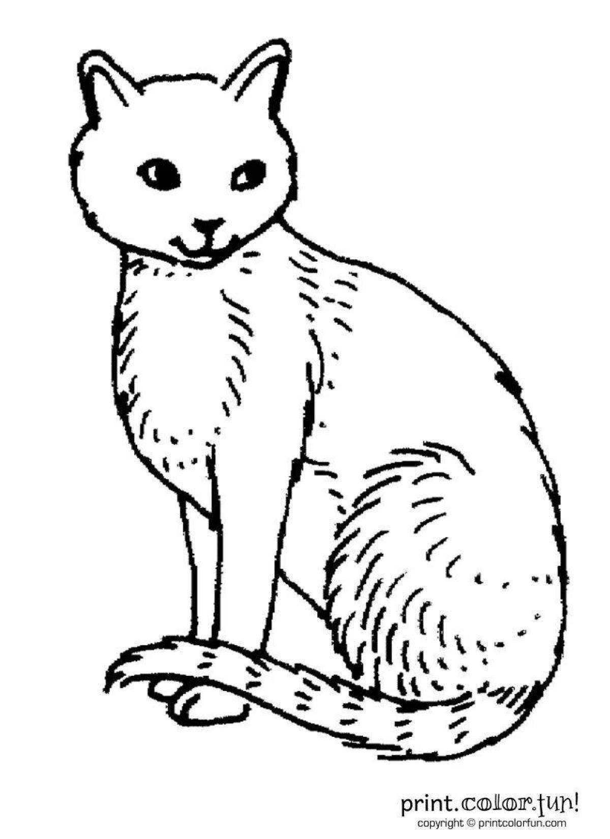 Coloring book cheerful sitting cat