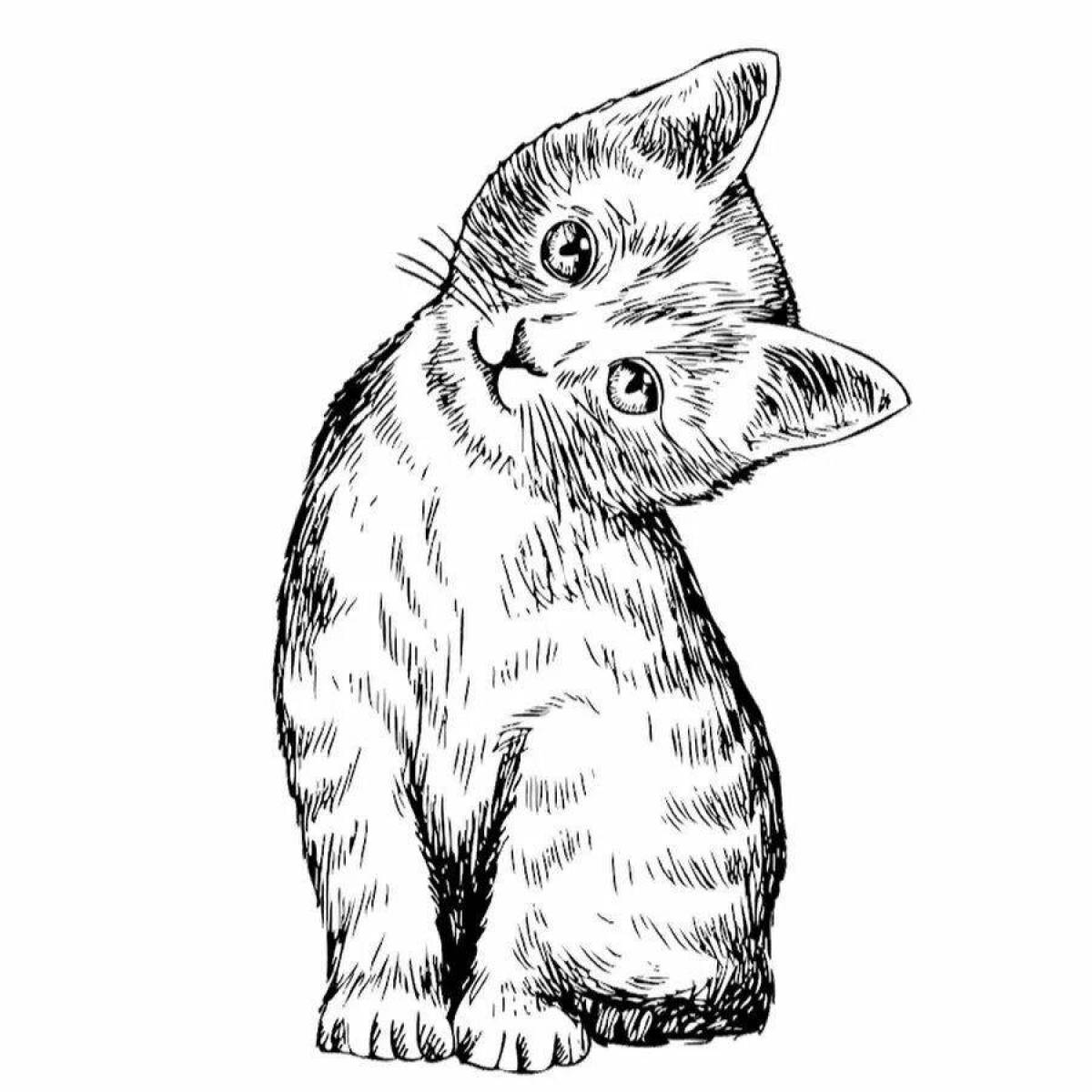 Coloring page relaxed sitting cat