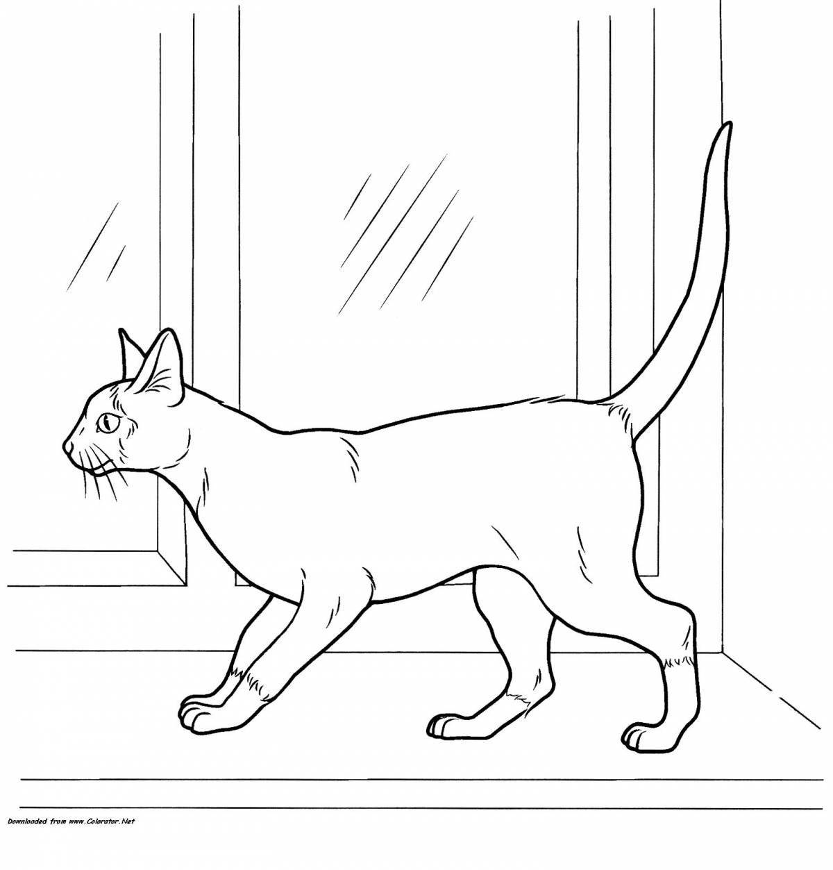 Coloring page energetic sitting cat