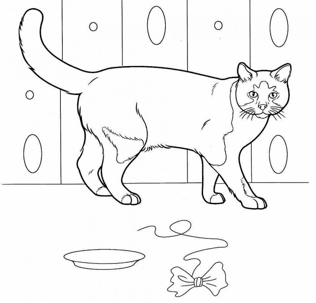 Раскраска любознательная сидящая кошка