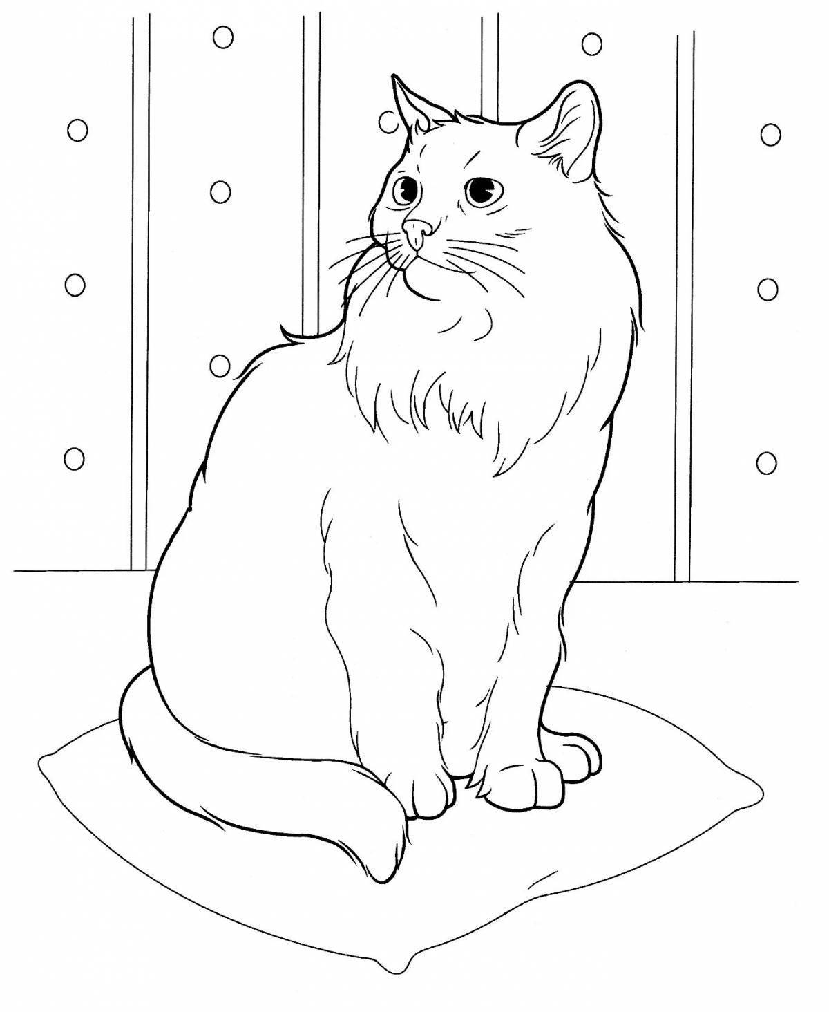 Раскраска озорная сидящая кошка